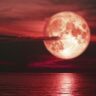 Moon in June 2025 – A Celestial Delight
